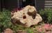 Buy Landscaping Rock